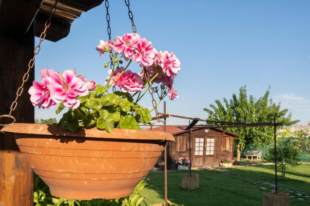 A Lu Fanizza Cutrofiano Exterior foto